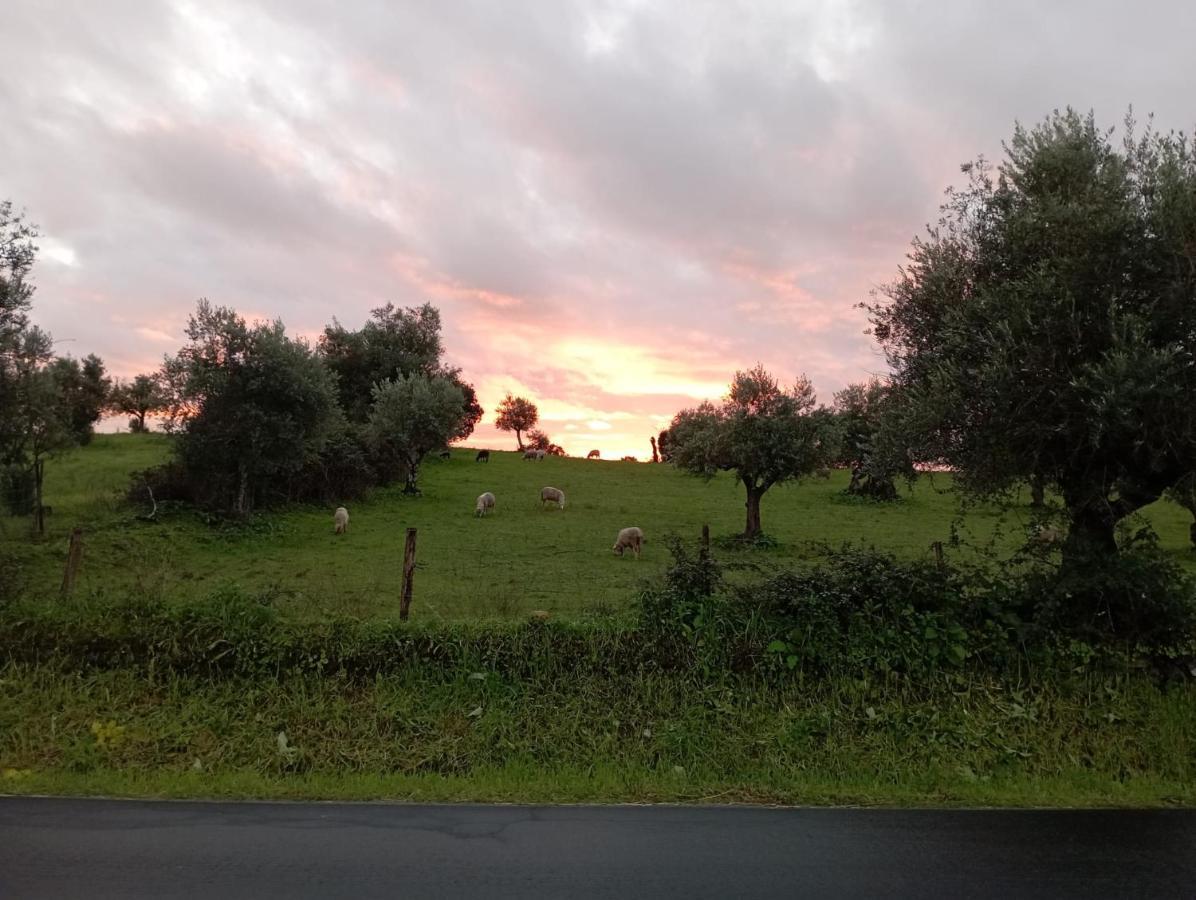 Retiro Da Cegonha Villa Crato Buitenkant foto